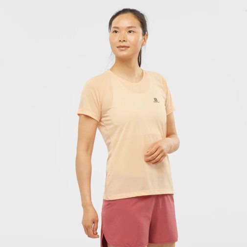 Apricot Salomon Cross Rebel Short Sleeve Women's T-Shirts | PH 51627H